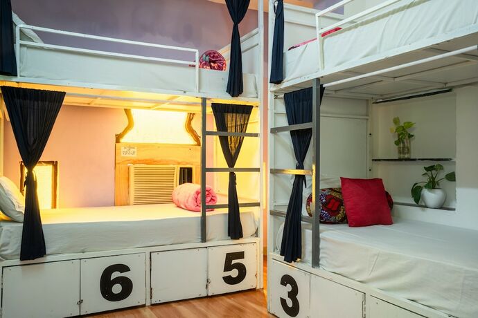 Imagen de la habitación del Hotel Dreamyard Udaipur - Hostel. Foto 11
