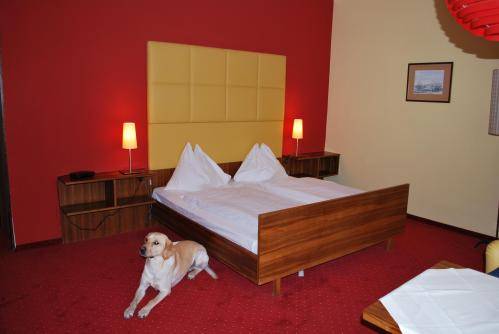 Imagen de la habitación del Hotel Drei Hasen. Foto 16