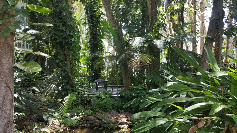 Imagen de los exteriores del Hotel Drift Palm Cove. Foto 6