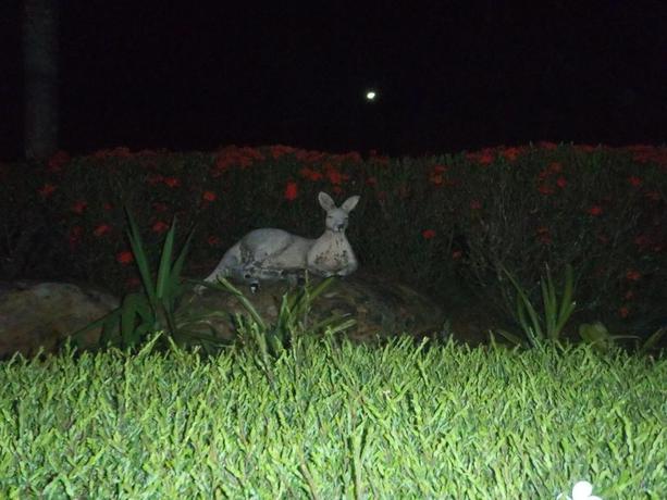 Imagen general del Hotel Driftwood Bed and Breakfast. Foto 1