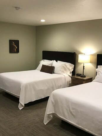 Imagen de la habitación del Hotel Driftwood Lodge. Foto 15