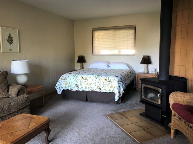 Imagen de la habitación del Hotel Driftwood Village. Foto 16
