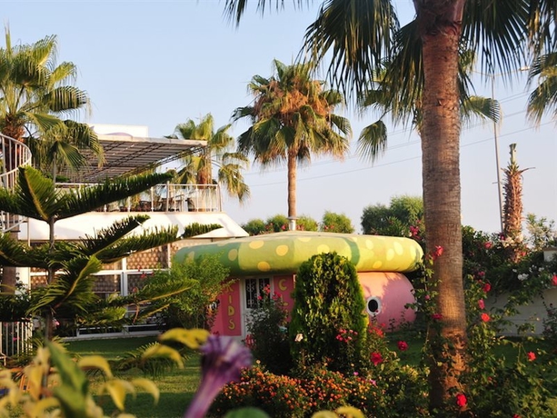 Imagen general del Hotel Drita. Foto 10