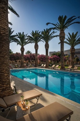 Imagen de la piscina del Hotel Drossia Palms Hotel Studios. Foto 15