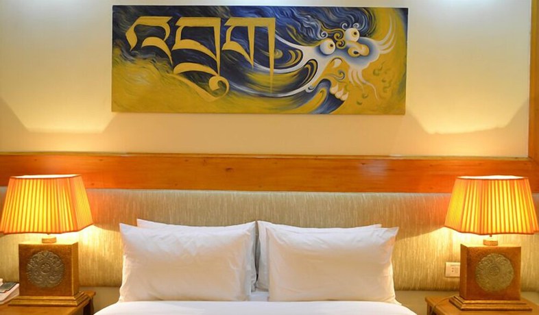Imagen de la habitación del Hotel Druk. Foto 9