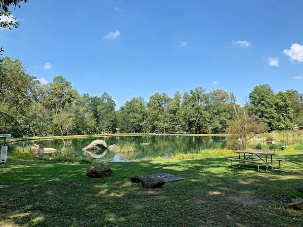 Imagen general del Hotel Drummer Boy Camping Resort. Foto 6