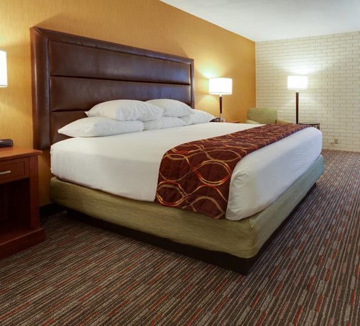 Imagen de la habitación del Hotel Drury Inn And Suites Denver Tech Center. Foto 12