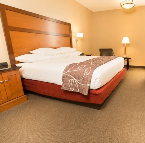 Imagen de la habitación del Hotel Drury Inn And Suites Springfield, Mo. Foto 16
