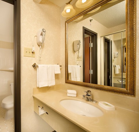 Imagen de la habitación del Hotel Drury Inn And Suites St. Louis Airport. Foto 9