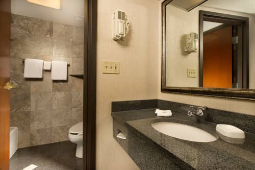 Imagen de la habitación del Hotel Drury Inn & Suites Overland Park. Foto 4