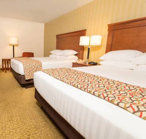 Imagen de la habitación del Hotel Drury Inn and Suites Atlanta Marietta. Foto 8