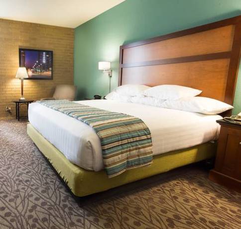 Imagen de la habitación del Hotel Drury Inn and Suites Atlanta Morrow. Foto 10