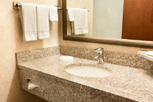 Imagen de la habitación del Hotel Drury Inn and Suites Charlotte Northlake. Foto 8