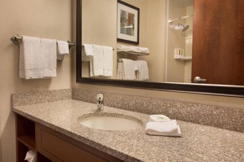 Imagen de la habitación del Hotel Drury Inn and Suites Denver Central Park. Foto 6