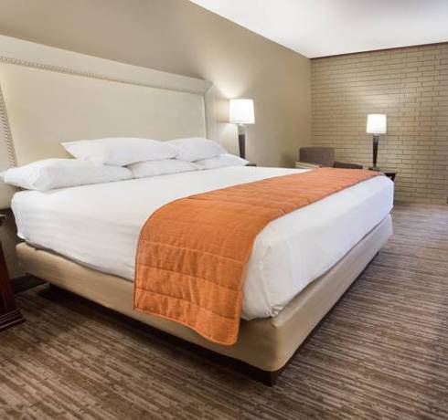 Imagen de la habitación del Hotel Drury Inn and Suites Greensboro. Foto 8
