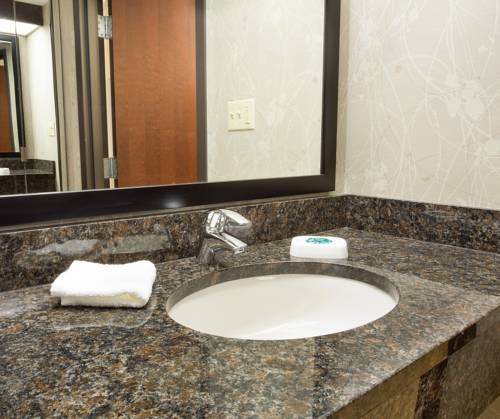 Imagen de la habitación del Hotel Drury Inn and Suites Greensboro. Foto 9