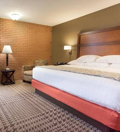 Imagen de la habitación del Hotel Drury Inn and Suites Jackson Mo. Foto 10