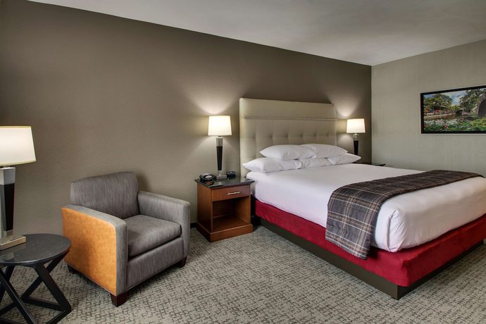 Imagen de la habitación del Hotel Drury Inn and Suites San Antonio Northwest Medical Center. Foto 11