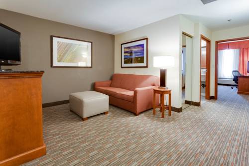 Imagen de la habitación del Hotel Drury Inn and Suites St. Louis O'fallon, Il. Foto 9