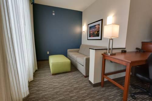 Imagen de la habitación del Hotel Drury Plaza Columbia East. Foto 6