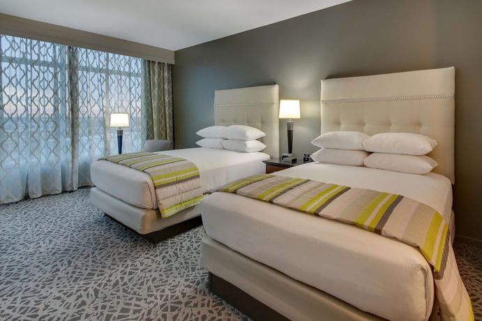 Imagen de la habitación del Hotel Drury Plaza Dallas Richardson. Foto 5
