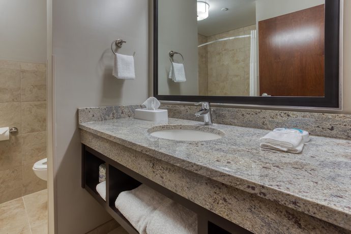 Imagen de la habitación del Hotel Drury Plaza Dallas Richardson. Foto 10