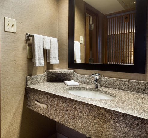 Imagen de la habitación del Hotel Drury Plaza Hotel Mobile. Foto 13