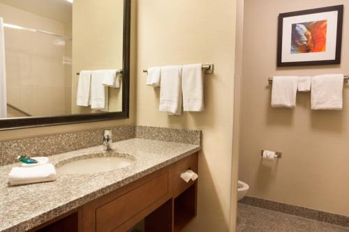 Imagen de la habitación del Hotel Drury Plaza Hotel Phoenix Tempe. Foto 9