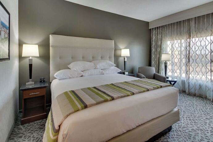Imagen de la habitación del Hotel Drury Plaza Savannah Pooler. Foto 14
