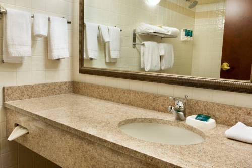 Imagen de la habitación del Hotel Drury Plaza St. Louis Creve Coeur. Foto 10