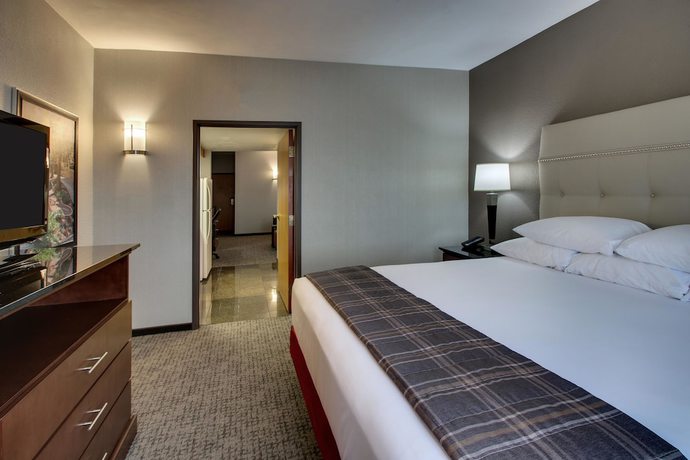 Imagen de la habitación del Hotel Drury Plaza St. Paul Downtown. Foto 6