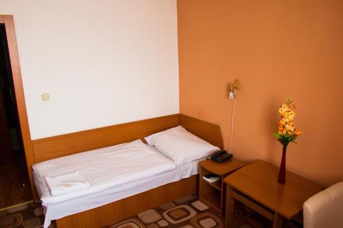 Imagen de la habitación del Hotel Druzba. Foto 7