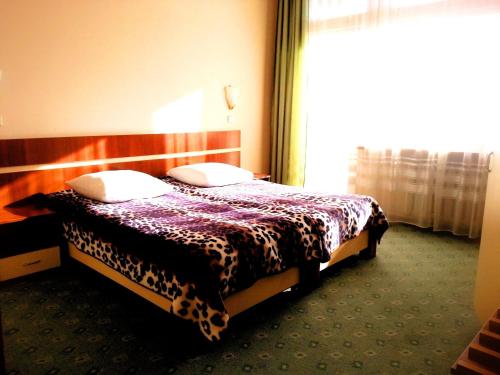 Imagen de la habitación del Hotel Druzhba, &Uacute;zhgorod. Foto 8