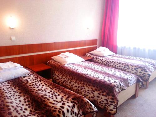 Imagen de la habitación del Hotel Druzhba, &Uacute;zhgorod. Foto 10