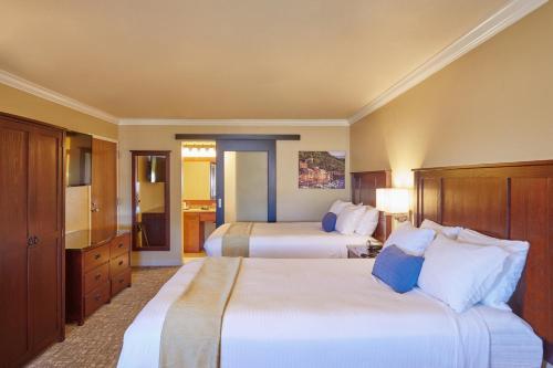 Imagen de la habitación del Hotel Dry Creek Inn MOD Collection by Sonesta. Foto 5