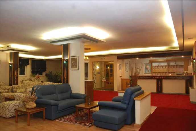 Imagen de los interiores del Hotel Dryas. Foto 17
