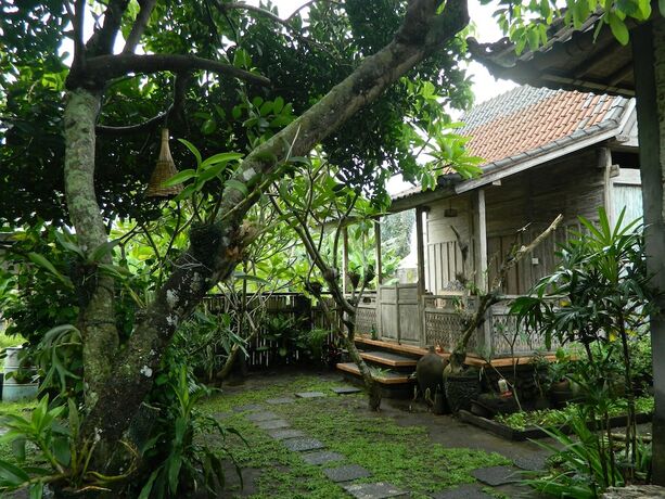 Imagen general del Hotel D'tegale Homestay. Foto 3
