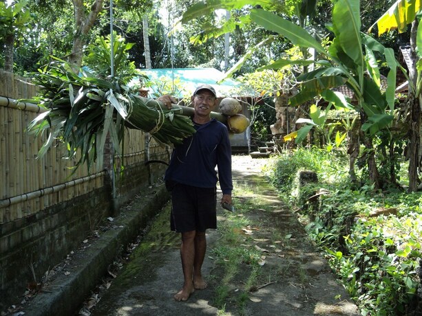 Imagen de los exteriores del Hotel D'tegale Homestay. Foto 31