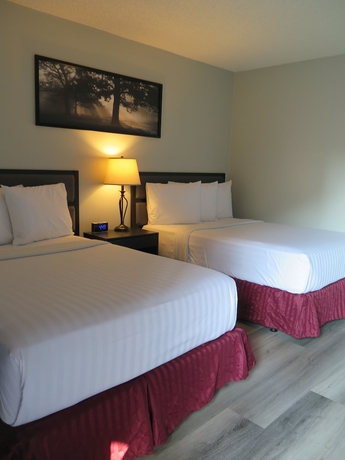 Imagen de la habitación del Hotel Dtla. Foto 9