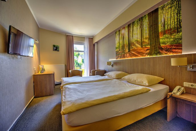 Imagen de la habitación del Hotel Du Commerce, Reuler. Foto 12