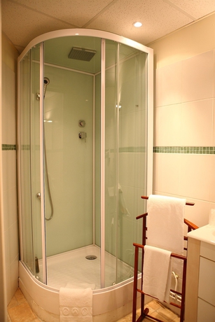 Imagen de la habitación del Hotel Du Cygne. Foto 16