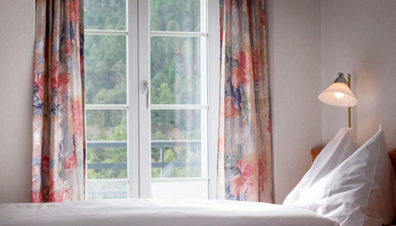 Imagen de la habitación del Hotel Du Glacier, Saas-Fee. Foto 13
