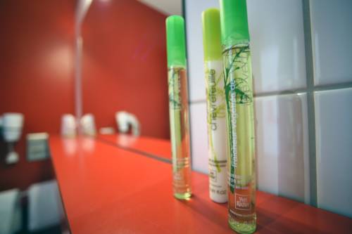 Imagen de la habitación del Hotel Du Lac, Guebwiller. Foto 11