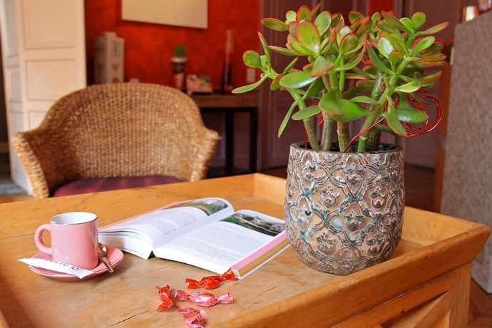 Imagen del bar/restaurante del Hotel Du Mail. Foto 5