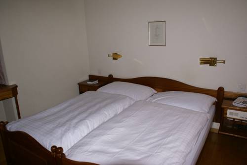 Imagen de la habitación del Hotel Du Pont, Alpes Suizos. Foto 12
