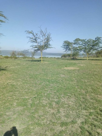 Imagen de los exteriores del Hotel Duara Flamingo Camp. Foto 9