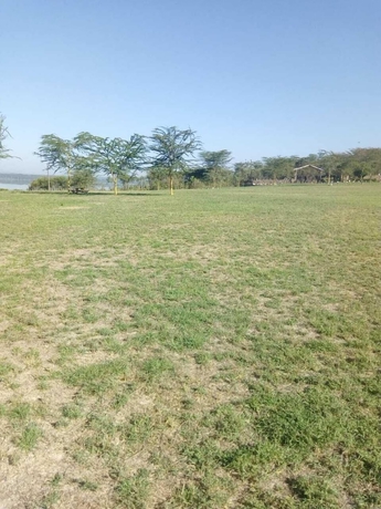 Imagen de los exteriores del Hotel Duara Flamingo Camp. Foto 10