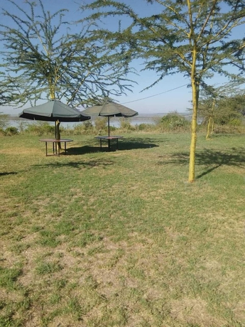Imagen de los exteriores del Hotel Duara Flamingo Camp. Foto 11