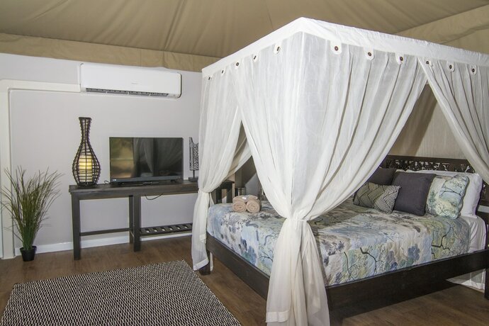 Imagen general del Hotel Dubbo Rhino Lodge. Foto 13