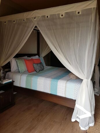 Imagen general del Hotel Dubbo Rhino Lodge. Foto 15